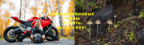 кокс Магас
