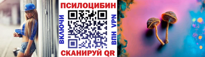 магазин    Окуловка  дарк нет Telegram  Псилоцибиновые грибы Psilocybine cubensis 